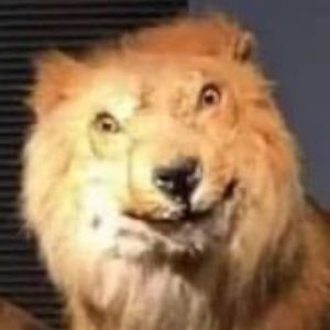 Meet your Posher, Eduardo